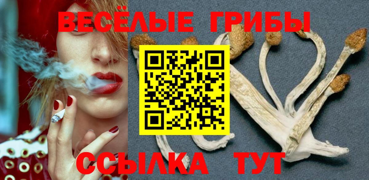 Псилоцибиновые грибы ЛСД Тверь